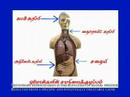 Hypertension (???? ??????????????) Part 2 of 7
