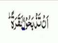 Quran Nawaz Marwat Qirath Juz01-002Baqara-Raku08-R009
