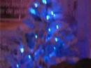 kerstboom 3 @ \ kerstboom 3 @ \
