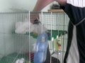 CIMG0640