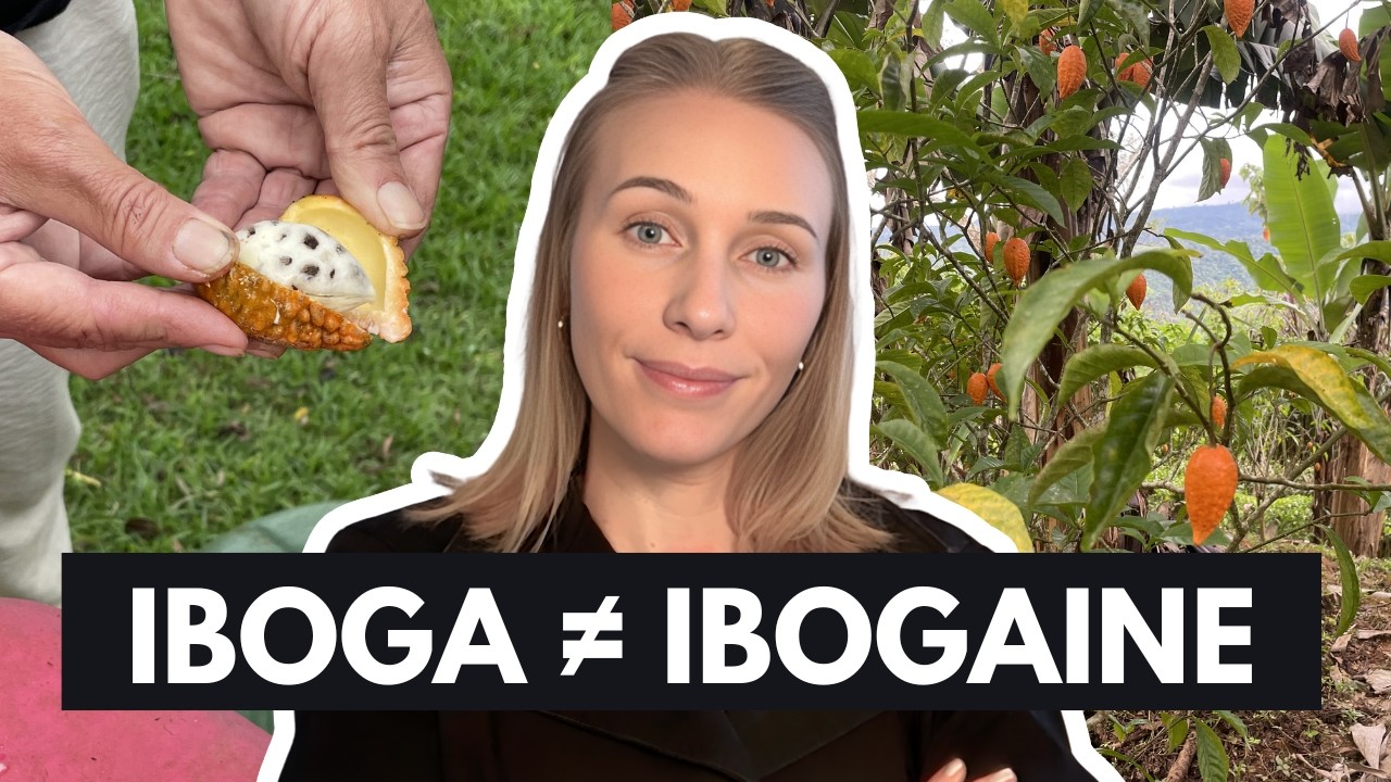 Iboga vs Ibogaine: What No One Is Explaining (Watch Before You Try It)