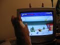 cat crash investigation