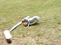 Lure course fun run