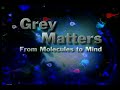 Stem Cells: The Brain's Beginnings