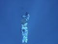 How to deal with Sharks!!!