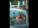 zircon 2008