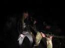 Fekal Vomering - Den elaka skogen