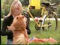 Pet Carrier - Baik Cycle