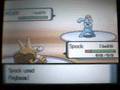 Episode 56: Veilstone City Gym's Underlings