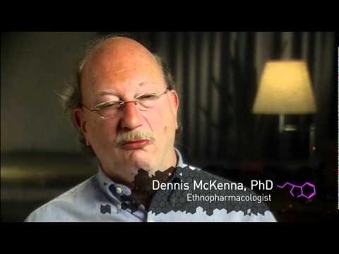 DMT: The Spirit Molecule - Trailer