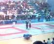 PEJA - Randori, PIŁA