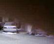 videos de invasione di fogli volanti a lamezia terme...