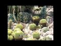 Le jardin exotique de Monaco