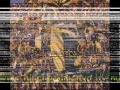 PEÑAROL, VIDEO DEL HINCHA