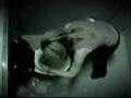 Ver Video