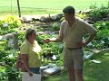 Best Value TC Hostas (HostasDirect, Inc.)