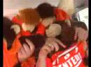 Bruno en Viva Hollandia