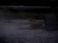 Sodium Video