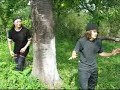 Teroare-in-Sura