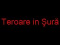Teroare-in-Sura