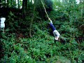 r�gis fait tarzan