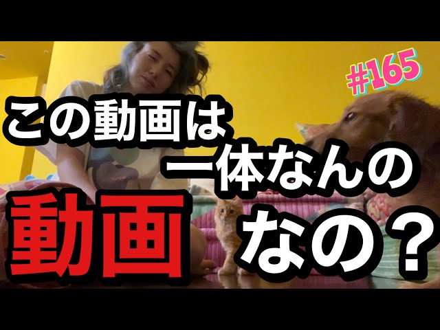 この動画は一体なんの動画でしょうか？タイトルは見る人が決めてください?この女優やりたい放題だな…やばいぞ