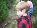 Cutting down the Christmas Tree