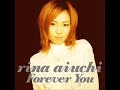 Rina Aiuchi－Forever You(lightnin' grooves reprise remix)
