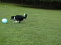i-goodsearch-for-glen-highland-farm.html
