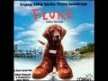 Fluke OST 10. The Journey To Hopewell