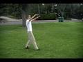 step sideflip tutorial