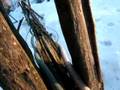 fafard ecureuil squirel hunting  part 2