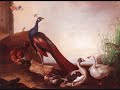 arcangelo corelli (1653-1713) 

1. preludio: adagio

2. allegro

3. adagio

4. vivace

5. gavotta: allegro

performed by richard boothby, viola da gamba
robert woolley, harpsichord
richard campbell, cello

*anonymous arrangement of violin sonata in e major op. 5 no. 11