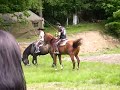 zilele-rasnovului-ca