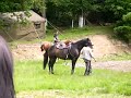 zilele-rasnovului-ca