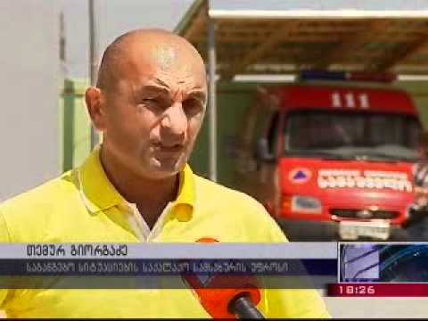 თბილისში უპატრონო ცხოველების თავშესაფარი გაიხსნა
