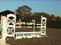 Horse BSJA Show Jumping Training
