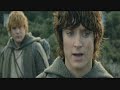 A Hobbits Love