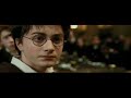 Hairy Potter - Sinnlos in Hogwartz