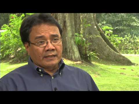 CIFOR -