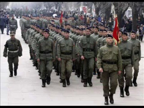 bósnia - Guerra da Bósnia e Guerra do kosovo trabalho escolar.