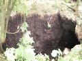 IGACOS Bat Caves on Samal Island