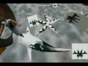 Video on various objects