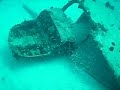 Negril, Jamaica \"Shallow Plane\" Dive Site