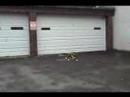 RC helicopter Flight