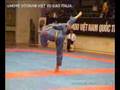 videos de Vovinam Viá»t VÃµ Äáº¡o - Thap The Bat Thuc Quyen