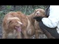 Red Fairy Tales \"Forest Treasures\" - litter 4