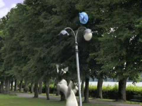 Backkom-ballon