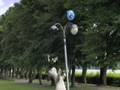 Backkom-ballon