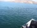 Diamond Valley Light Line Bassing